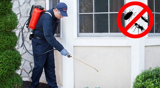 Çaybaşı Akrep İlaçlama böcek ilaçlama ve haşere kontrolü — ilaclama-tr.com